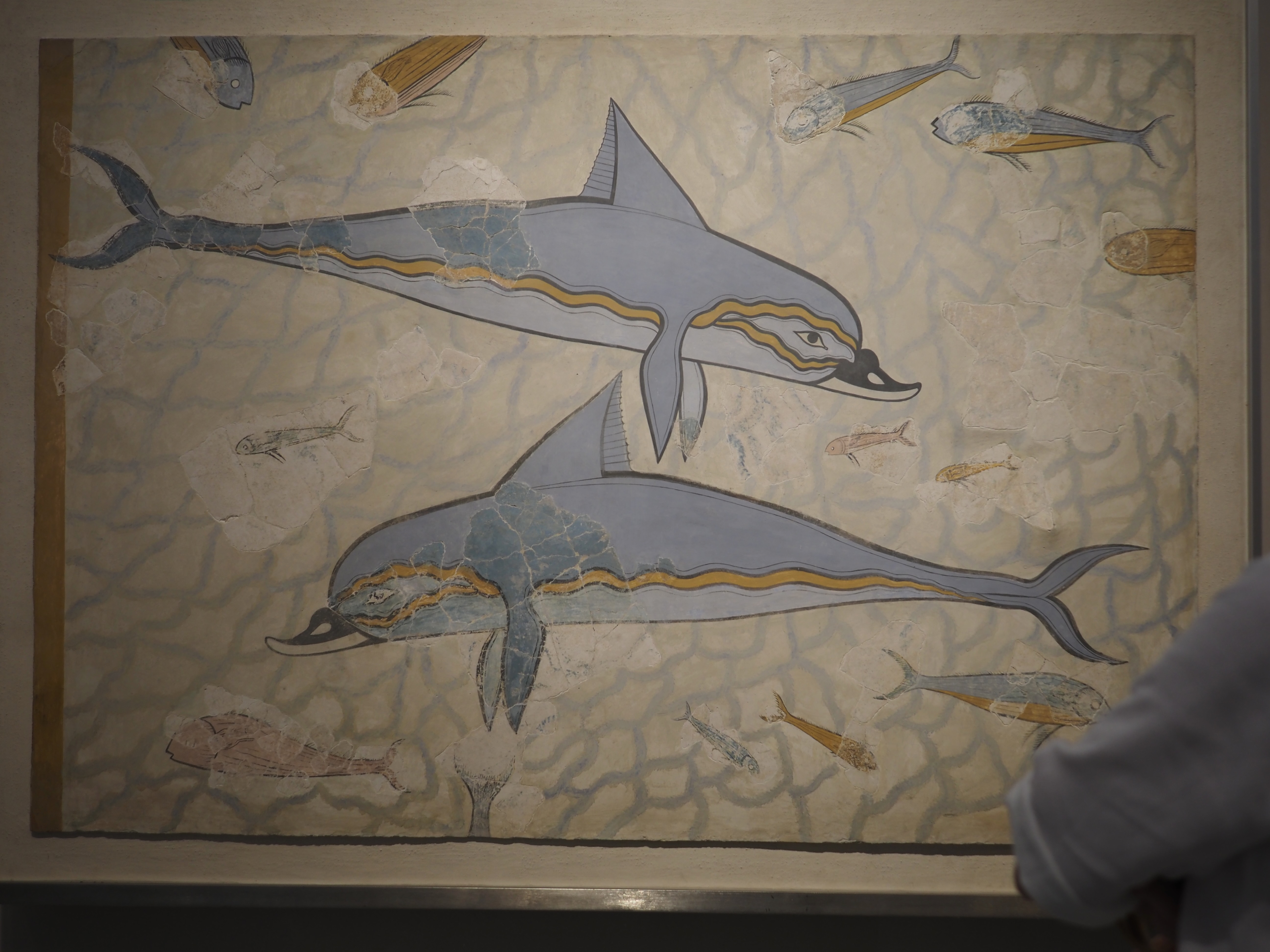 海豚壁画